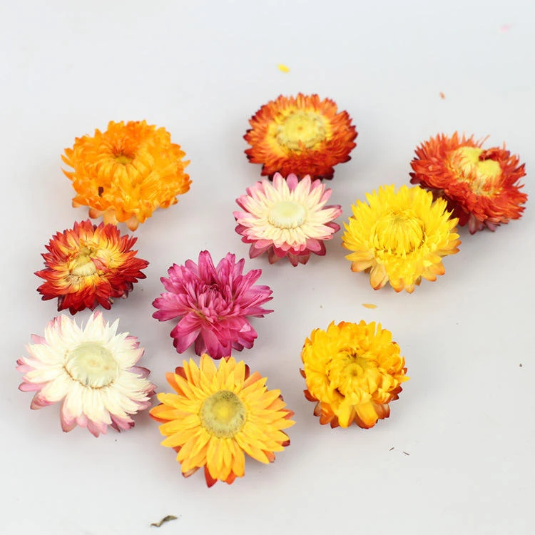 Dried Chrysanthemum - Wholesale Bulk & Private Label H12d44ca40bf14b98a0082a3b3ecffa89x