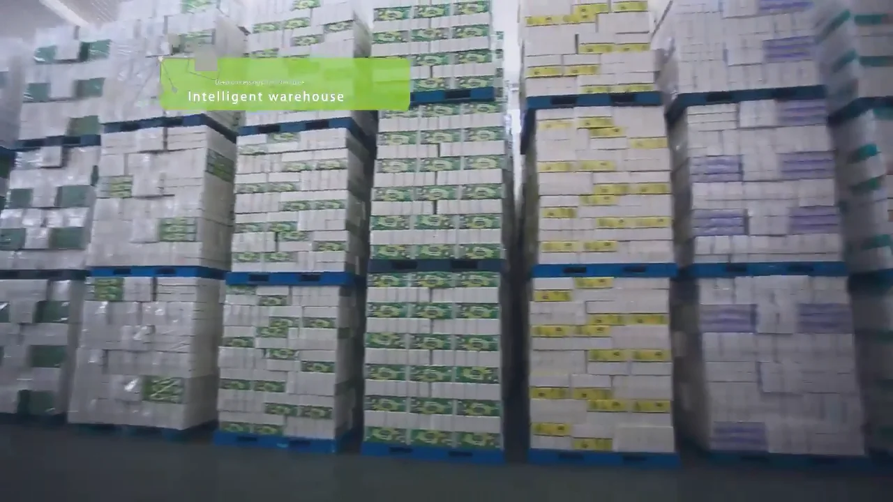 Cheaptoiletpaper Water Soluble 2/3/4/5 Ply Bathroom Tissue Roll