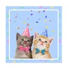 napkin 16pcs