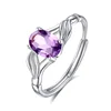 JH0073-1Amethyst