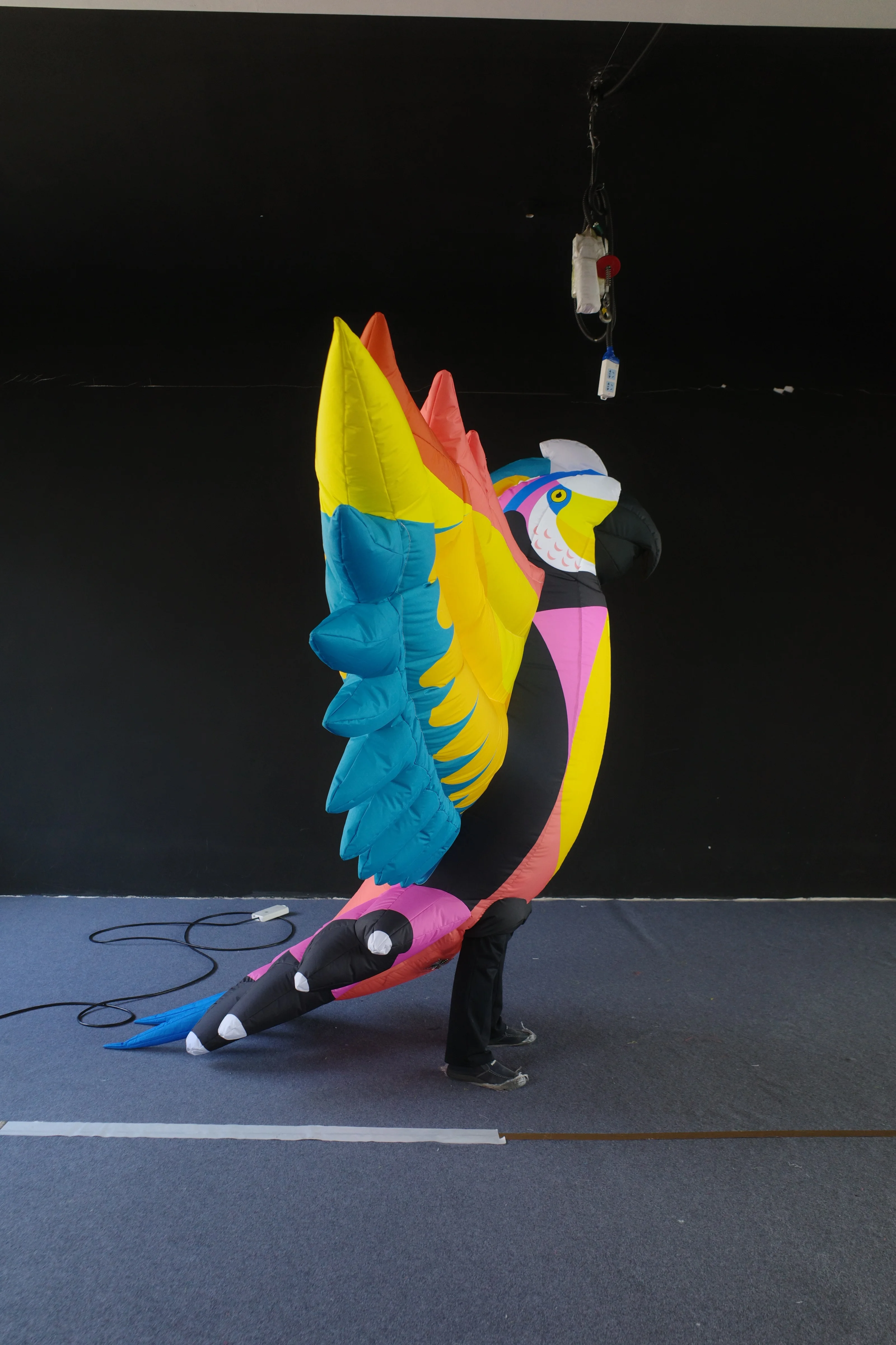 Custom Made Inflatable Bird Costume, Personalized Inflatable for Stage Show & Parade