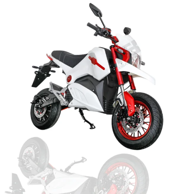Professional Design Mini 2000W Electric Racing Motorcycle 60KM Per Hour Electric Moto Bike for Sale