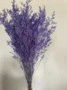 Azzurro viola