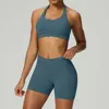 Reggiseno + shorts BLU GRIGIO