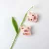 Rama de flor de farolillo - Cerdito rosa