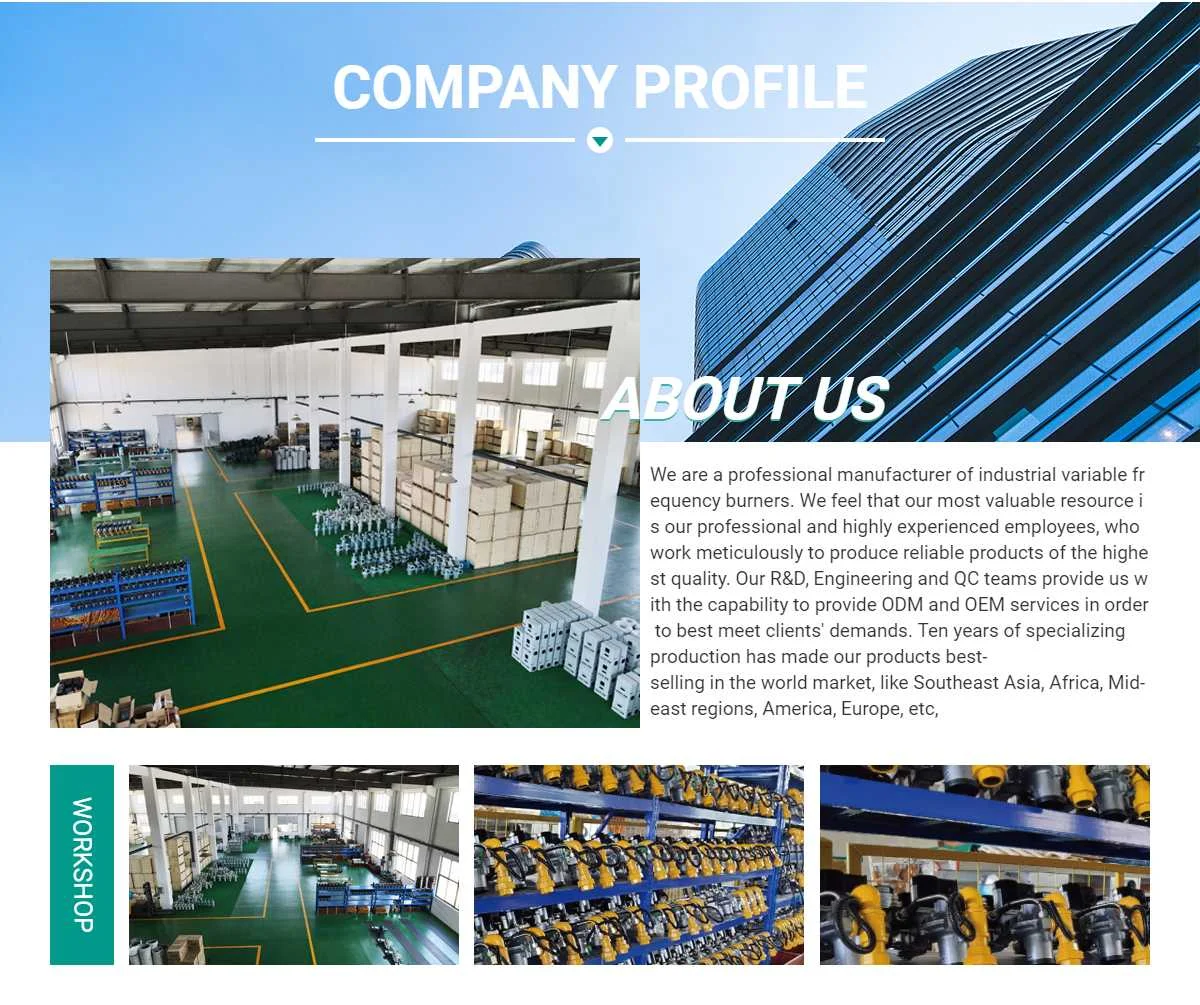 Stable Performance Industrial Gas Burner Igniter For Furnace Buy