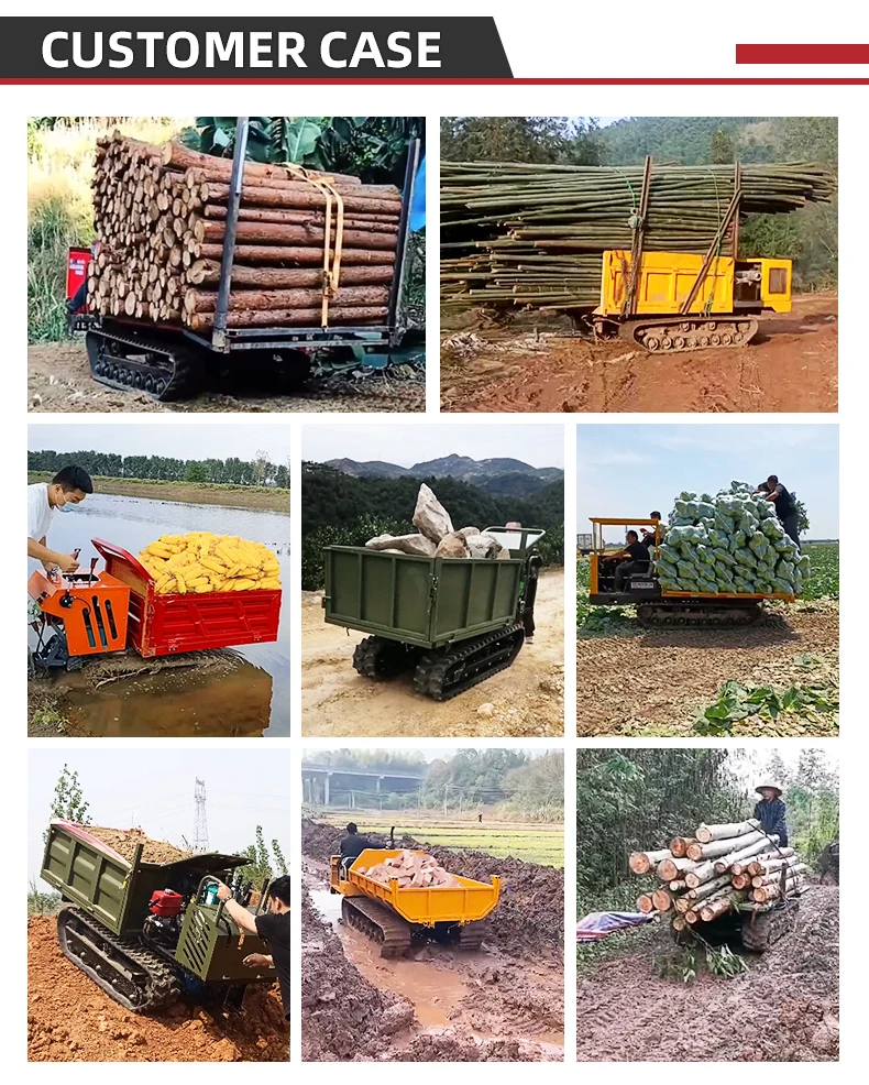 CE Approved 4T Load Track Transporter Diesel Hydraulic Mini Tipper ...