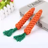 carrot