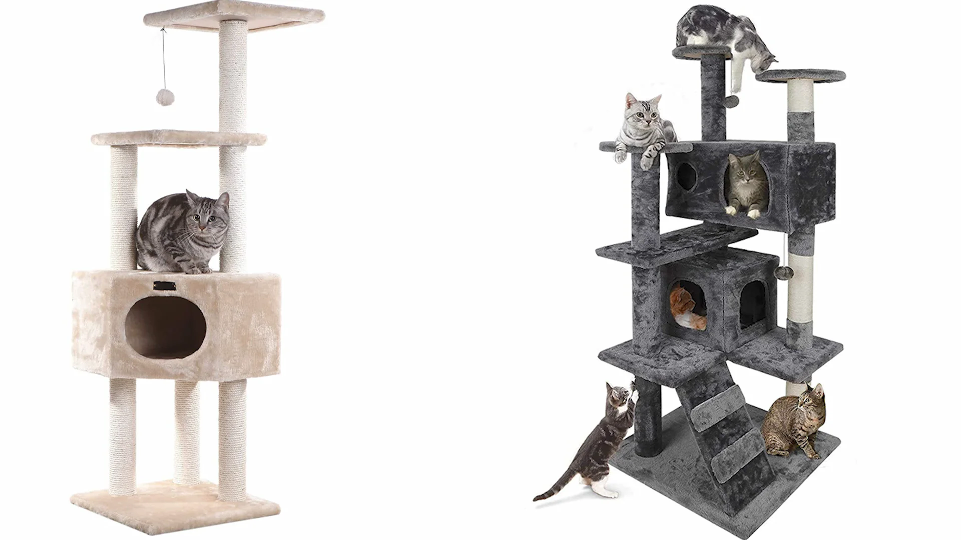 Stand house. Cat Tower. Cat Tower bandcamp.