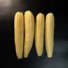 20-29 cm