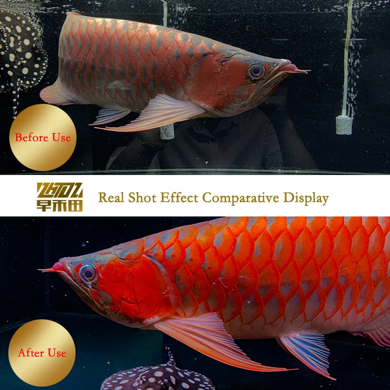 Zaohetian Arowana Tanning Lighting Manufacturers 92CM 35W