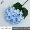 Hortensia búlgara individual XQ azul