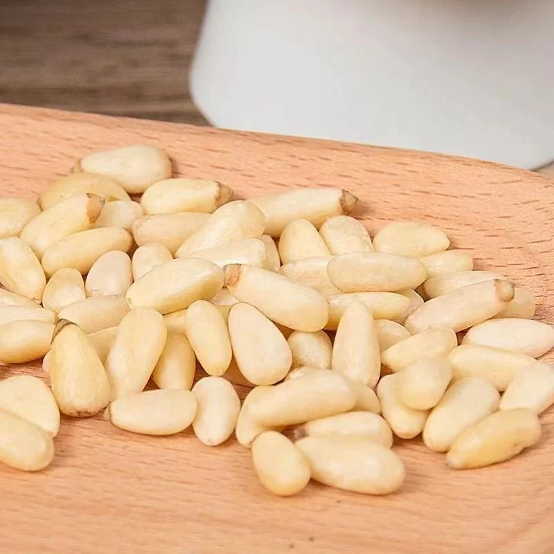 Pine Nut Kernel Full And Round Large Size High High Nutritional Value