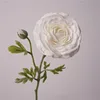 Sentiti 2 bianco-leu