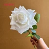 # 1 bianco