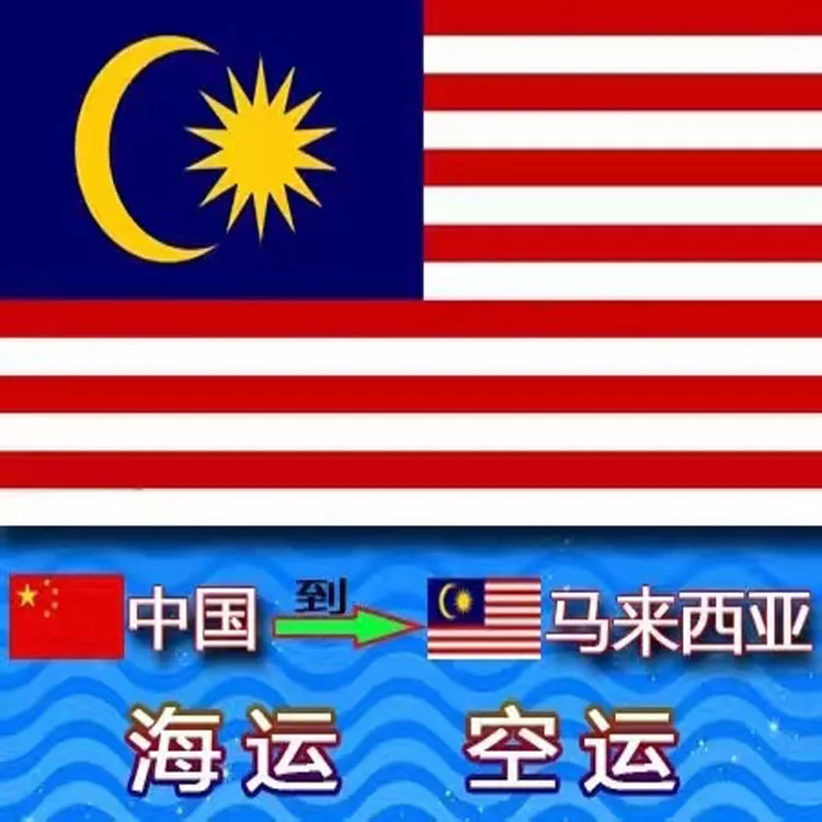
 Международная логистика, Китай в Малайзию, централизованный Экспресс-авиаперевозчик и морской очистка, двусторонний налоговый пакет до двери.  