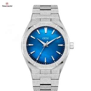Manufacturer OEM High Value 42mm Elegant Quartz Watches Round New Stainless Steel Men's Limited Edition Quartz Watch