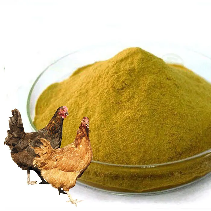 Powder Enriched Nutritional Custom Bulk Food Grade Nutrient Bulk Brewers Yeast Powder