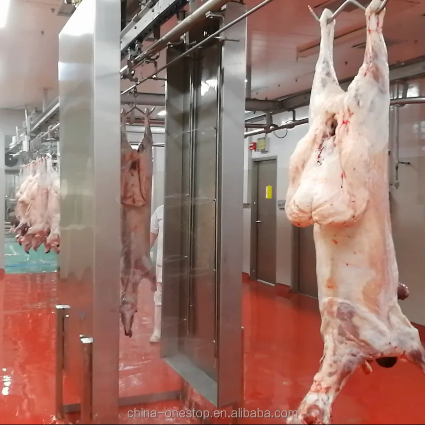 80 heads per hour mutton slaughterhouse equipment and mutton slaughterhouse