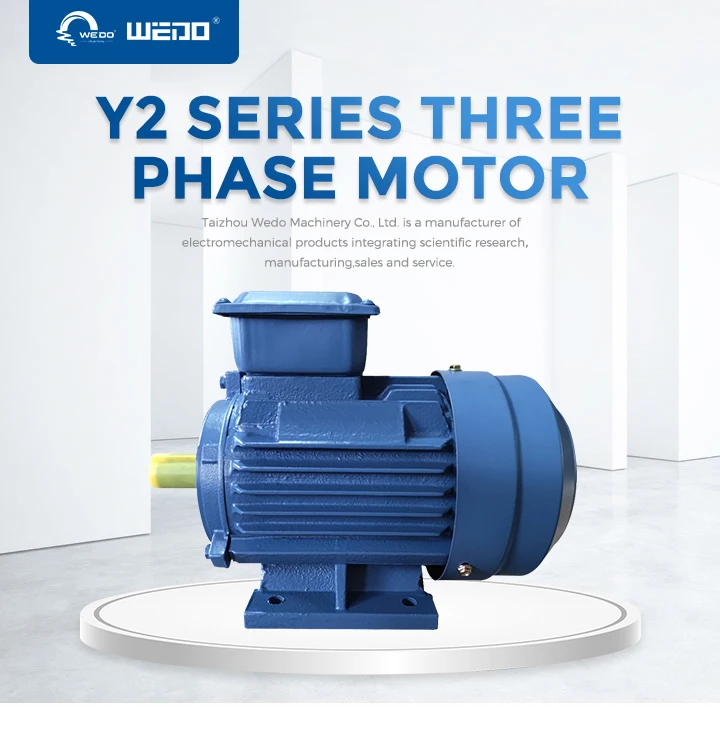 Wedo Y2 Series Cast Iron Ac Three Phase Induction Asynchronous Electric