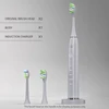 Corps argenté Flash + deux têtes de brosse + chargeur sans fil