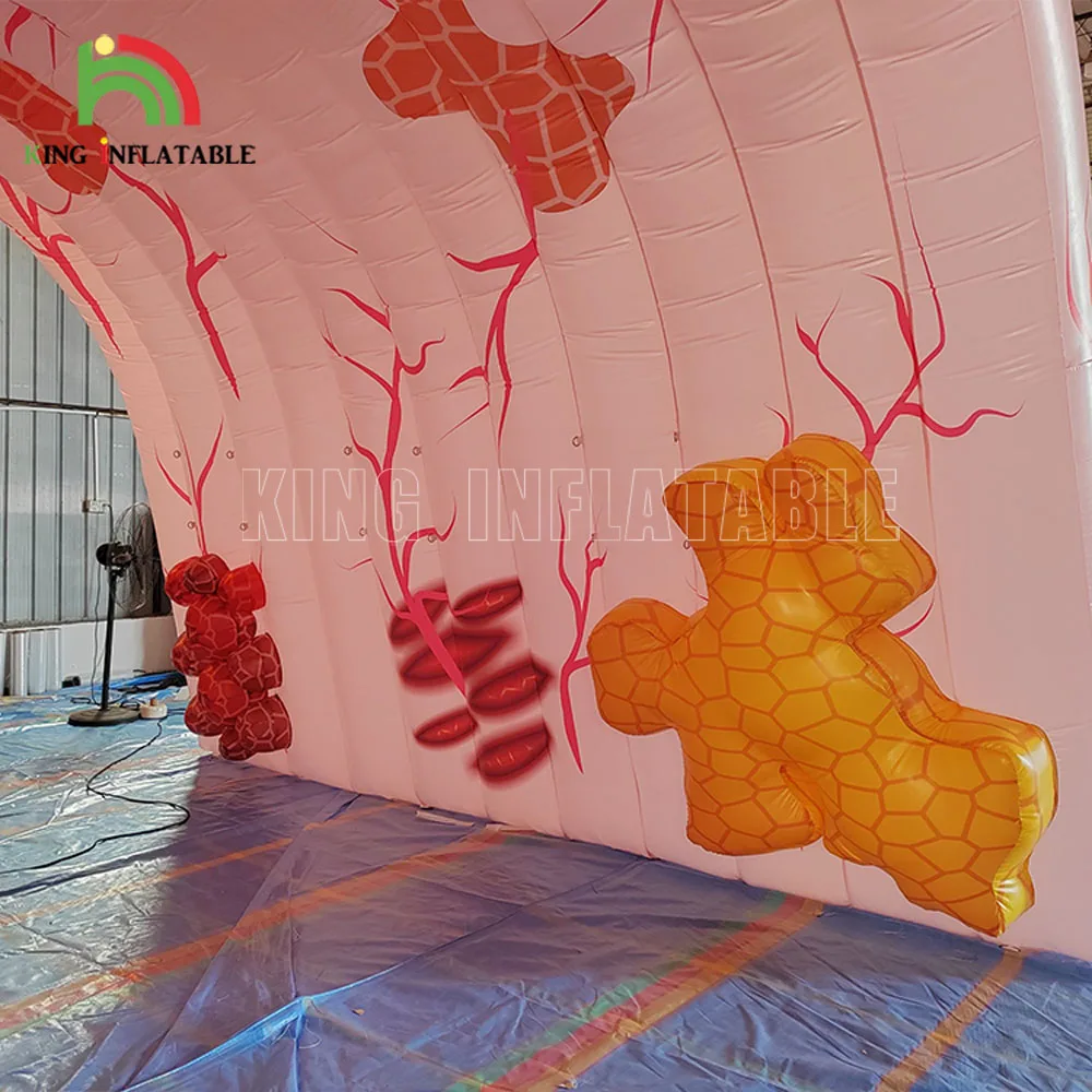 Colon Cancer Inflatable Model - Educational Medical Exhibition