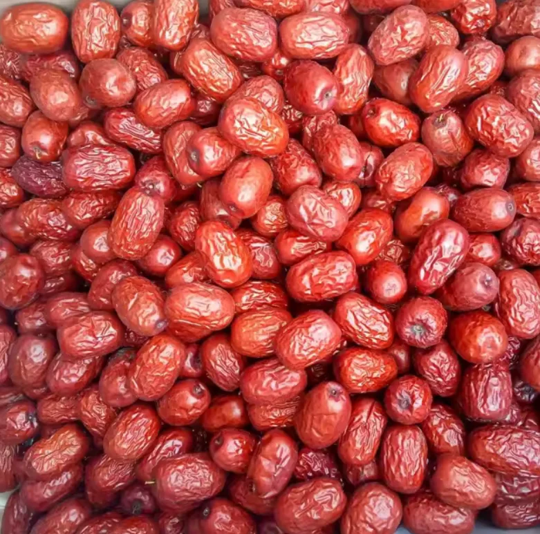 China jujube plant jujube fresh fruit red natural dried dates jujube for sale factory