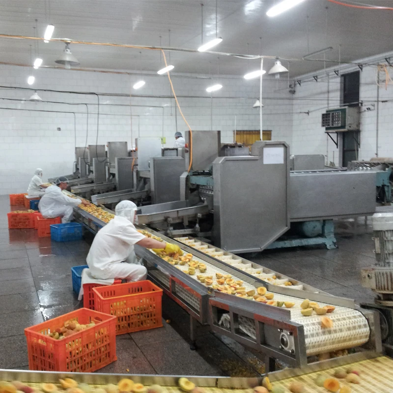 LWT Automatic Packaging Machine for Canned Fruit Cucumber Artichoke Lychee Olive Apricot Processing Line