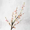 กิ่งสีชมพู