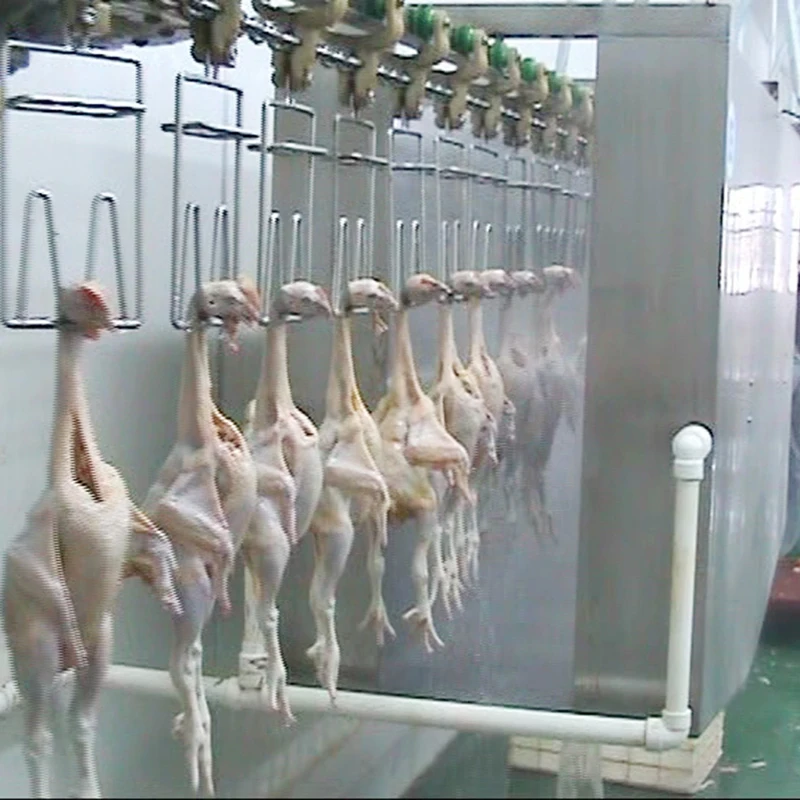 Full Automatic 500BPH -1000BPH Mobile Container Chicken Poultry Slaughter House for Small Scale Abattoir