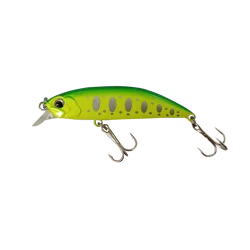 Roben Painting Minnow 9.5cm/8.9g Fishing Lure