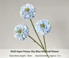 Blu peonia a strati