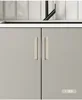 Light Gray