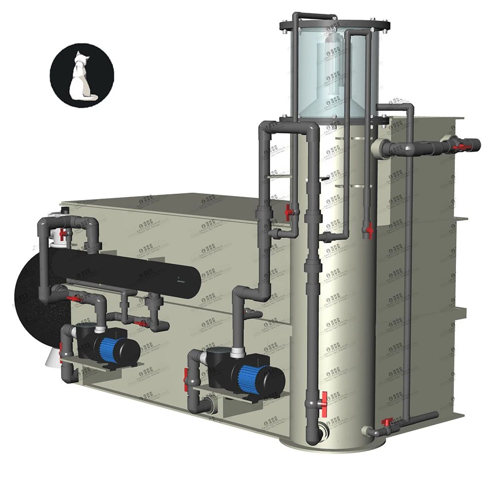 CATAQUA Aquaculture Ras Equipment Efficient Eco-friendly