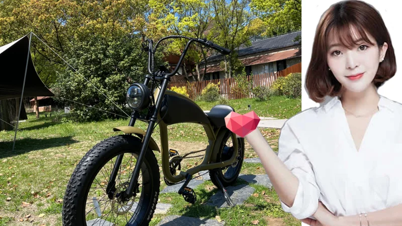 H131eb774e36341a8a52c62be6e067138L.jpg - Electric Bicycles For New Riders Usa