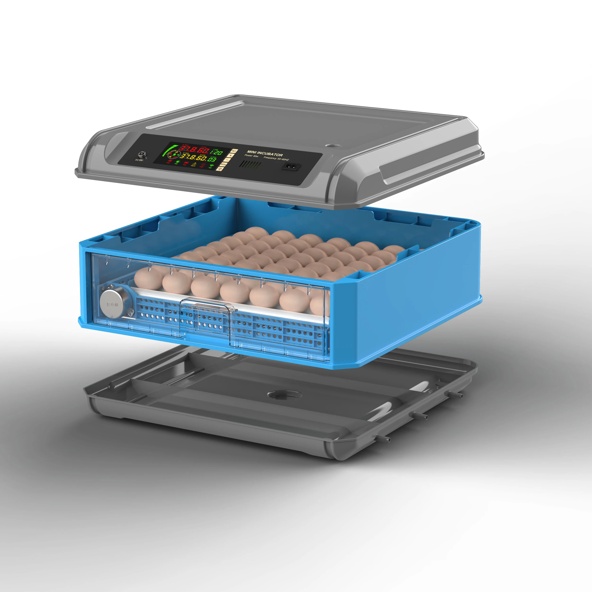 Mini Incubatrice Automatica Per Uova 7 W – Controllo Temperatura E Umidità, Con Coperchio Trasparente, Per Pollo, Anatra E Quaglia