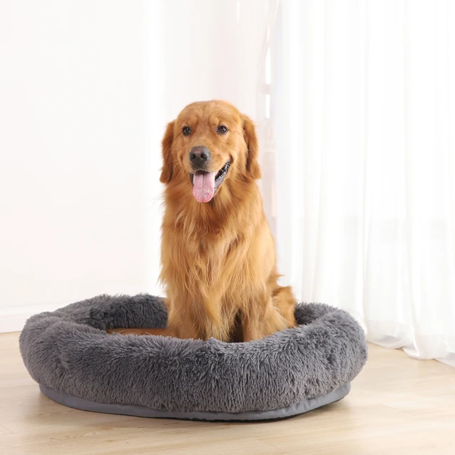 Are Dog Beds Bad For Dogs
