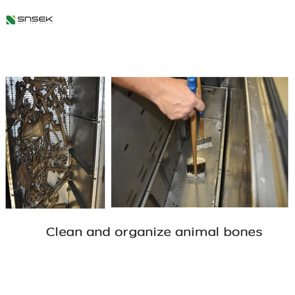 Snsek-SA1000v Aquamation Machine for Animals Bio-Hydrolysis Machine for Pets Water Cremation Machines