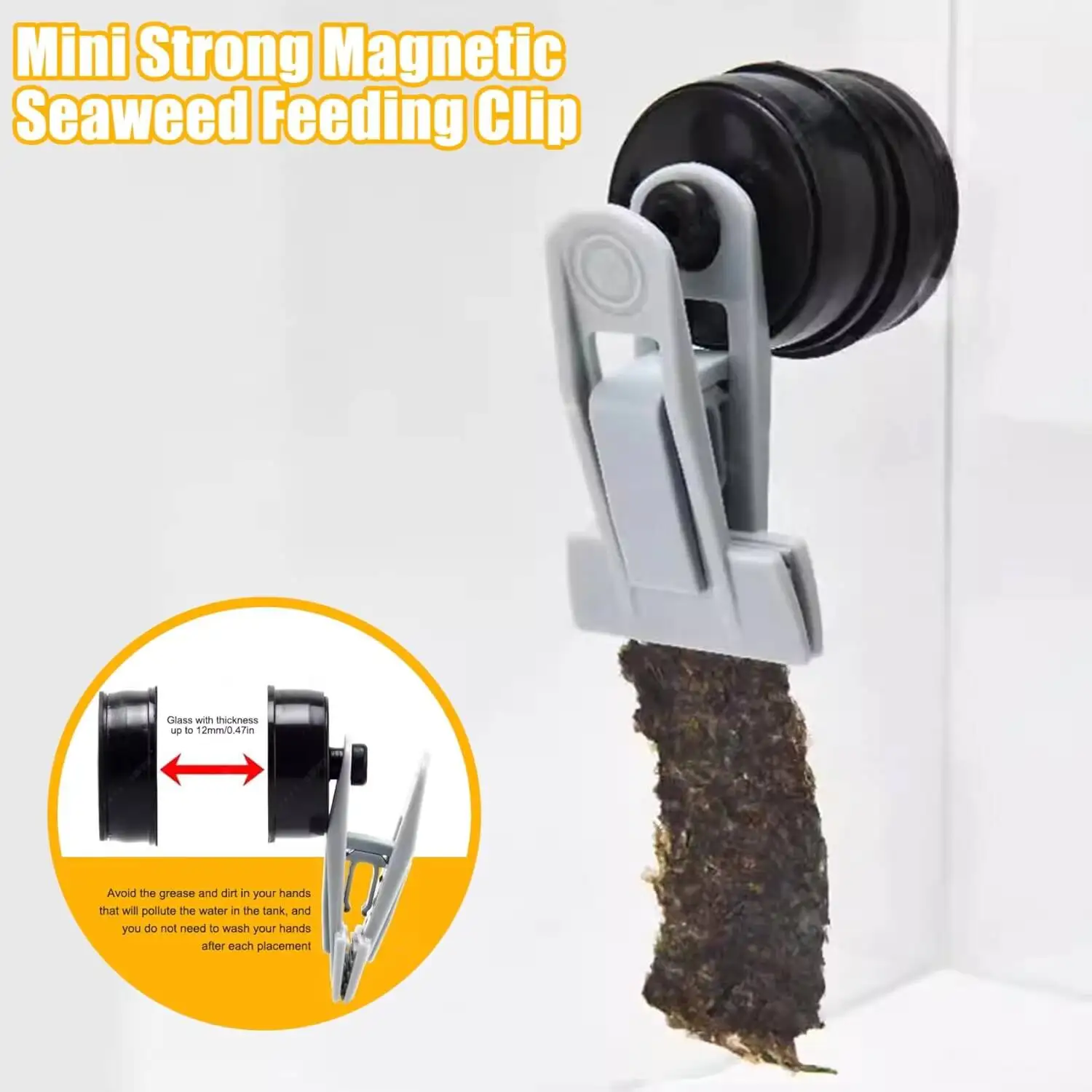 Aquarium Strong Magnetic Veggie Clip Fish Tank Seaweed Algae Feeder Clip Marine Fish Seaweed Vegetable Holder product detail 4