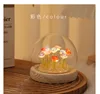 10 rose-colore misto