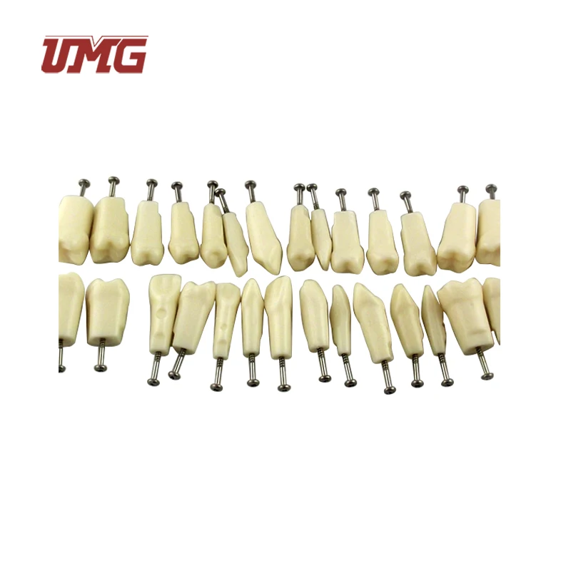 Лидер продаж, модель с перманентными прямолинейными зубами с 28 зубами на металлической основе