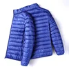 Azul rey [chaqueta de algodón con cuello alto]