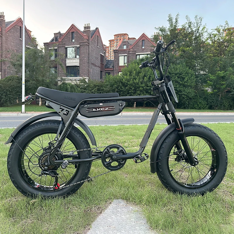 2025 ZX 20 Inch E-Bike - 48V 750W/1500W Electric Bicycle