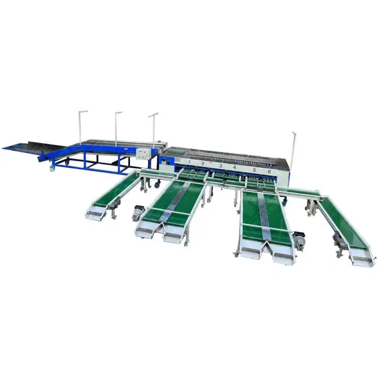 Professional Sorting Machine Ce Approved