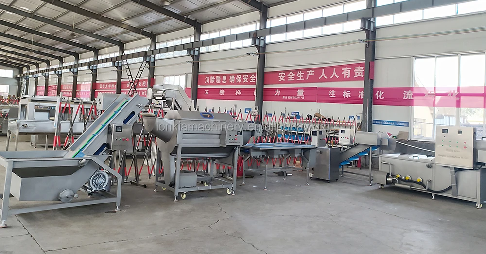 Carrot Cleaning Machine supplier