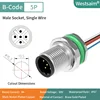 M12-B-5P male PG9