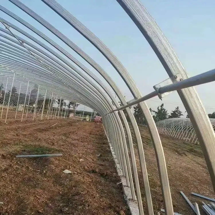 Turnkey Project Customizable Single Span Tunnel Agriculture Vegetable Greenhouses Kit for Growing Cucumbers