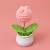 Korean pink tulip pot