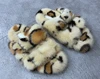 Leopardo
