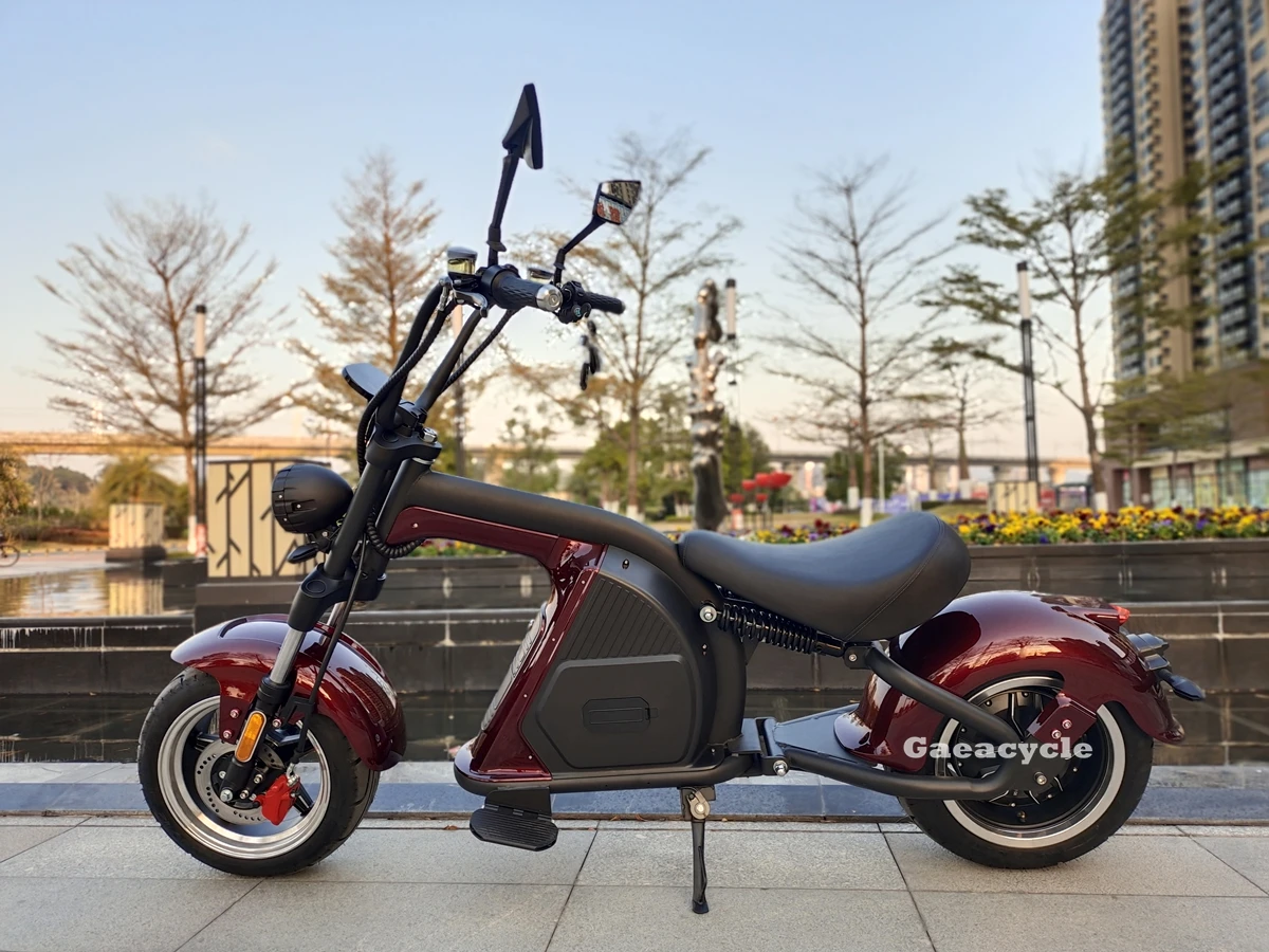 Citycoco gt Chopper 3000w